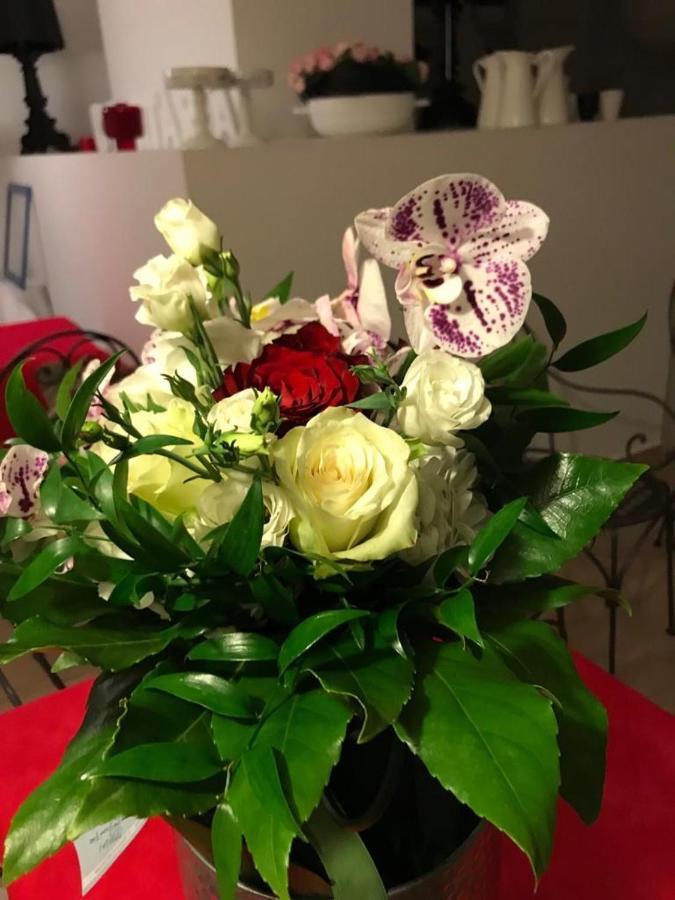 Ascoli Bonjour B&B & Apartments Parcheggio Privato & Giardino อัสโกลีปิเชโน ภายนอก รูปภาพ